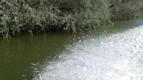 Slow Motion,Danube Delta channel Stock Footage 79995204
