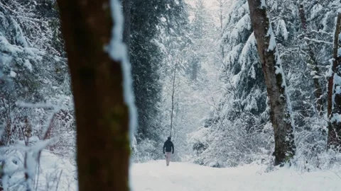 Slow motioned snowfall. Lonely man's figure walks a snowy path in a tranquil Stock Footage 293164993