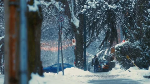 Slow motioned snowfall in Snow Covered City Park with Winter Festive Lights Video stock 293729076