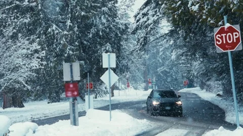 Slow Motioned Snowy Forest Road with Car and Stop Road Sign Video stock 293164976