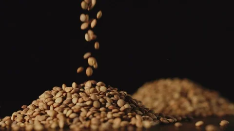 SLOW MOTION: Lentils grains falling on a table - Close Up Stock Footage 103363730