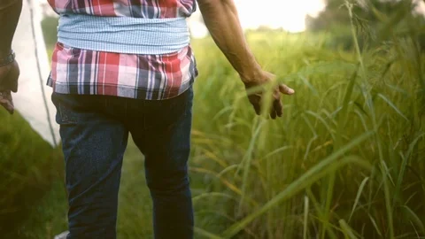 Slow motion,man hands touch the green grass in rice fields in the evening. Stock Footage 120676191