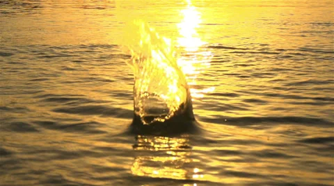 SLOW MOTION:Throwing a stone in the water at sunset Stock Footage 32229137