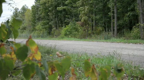 Slow motorcycle pass by Видео 842414