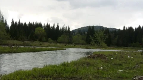 Slow mountain river on a rainy day Stock Footage 63100762