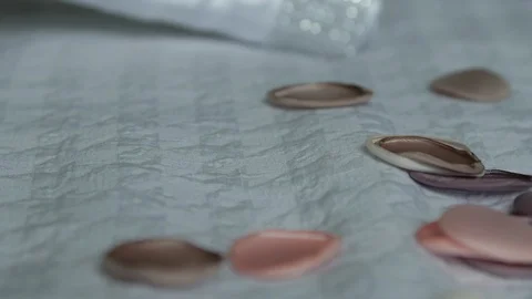 Slow move close up bouquet lying on bed Stock Footage 112140700