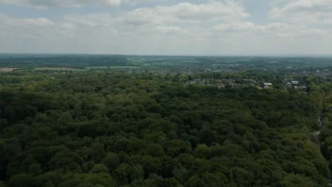 Slow move up over lush forest of trees some homes and buildings visible Stock Footage 297173928