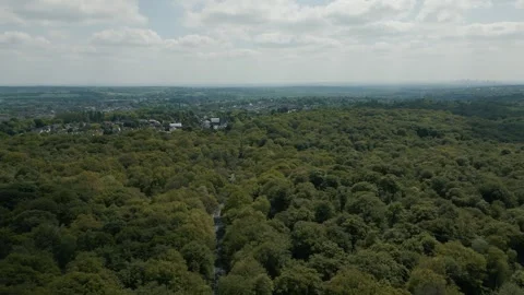 Slow move right to left over lush forest of trees an A road with cars Stock Footage 297173857