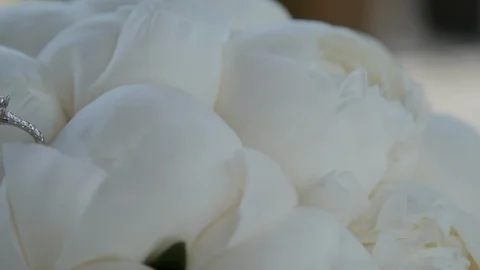 Slow move right to left white roses engagement ring Stock-Footage 112140578