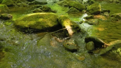 Slow movement above beautiful stream Видео 229008553