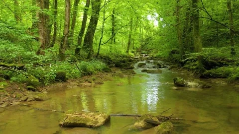 Slow movement above forest river 스톡 동영상 226600049