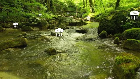 Slow movement above forest river with carbon dioxide icons Stock Footage 340587254