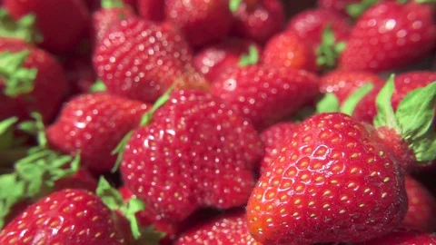 Slow movement of the camera over strawberries Stock Footage 90372452