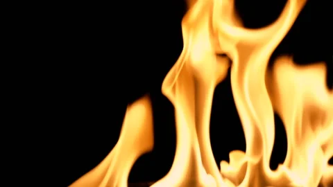 Slow movement of clean fire, igniting and burning. On a black background, a line Stock Footage 88729170