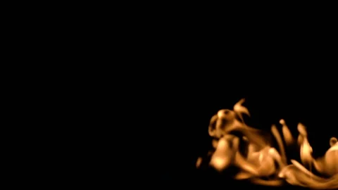 Slow movement of clean fire, igniting and burning. On a black background, a line Stock Footage 88730373