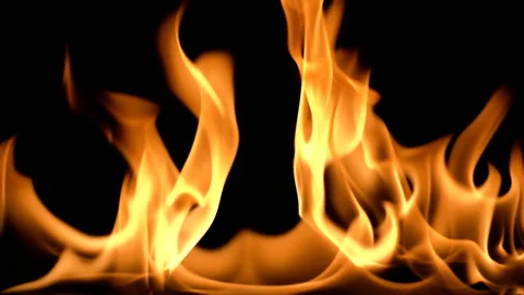 Slow movement of clean fire, igniting and burning. On a black background, a line Stock Footage 88730535