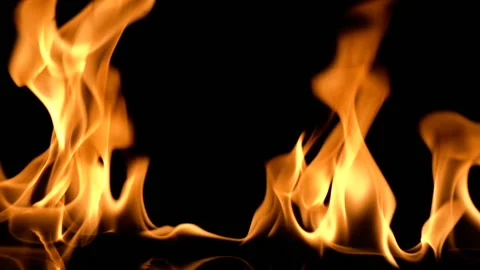 Slow movement of clean fire, igniting and burning. On a black background, a line Stock Footage 88730790