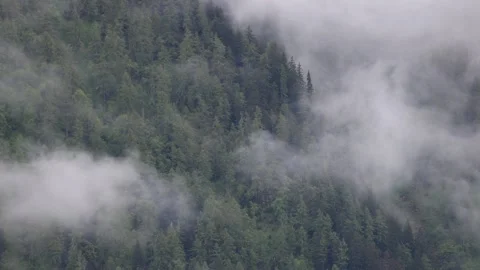 Slow movement of clouds over a forest Stock Footage 277076619
