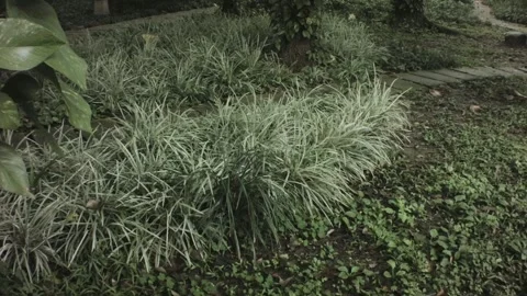 Slow movement horizontal pane view of damp wet cement concrete tiled floor with  Stock Footage 236292690