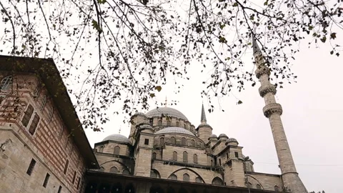Slow movement to the mosque through tree branches Stock Footage 100287954