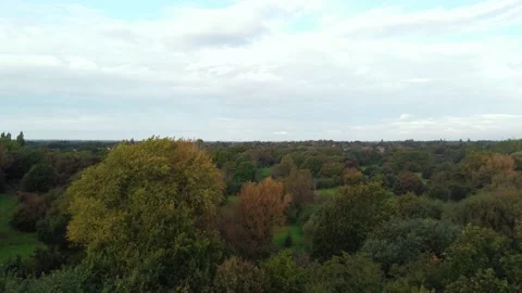 Slow movement over autumn trees Stock Footage 224690593