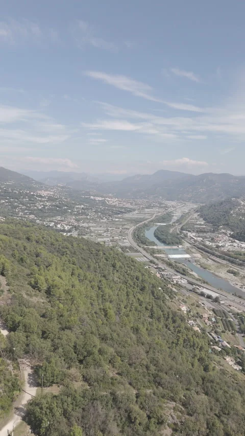 Slow movement past trees Stock Footage 302368549