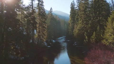 Slow Movement up River Stock Footage 296510573