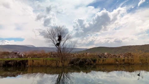 Slow Movement Through Narrow Reed Canal in Wetland Water Level POV Turkey Stockbeeldmateriaal 331526641