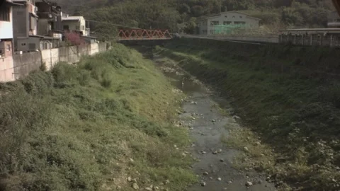 Slow movement view of valley river with Little Egret cranes in far distance and  Stock Footage 237252601