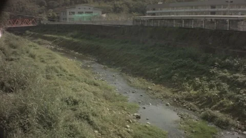 Slow movement view of valley river with Little Egret cranes in far distance and  Video stock 237252660