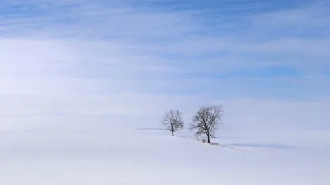 Slow moving 4k timelapse - winter cloudy blue sky soft light snow covered trees Stock Footage 220059437