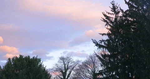 Slow moving beautiful clouds infront of trees Stock Footage 104444661