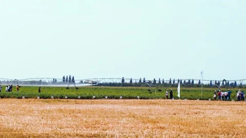 A slow moving close to a ground of a crop duster biplane used to fertilize field Stock Footage 162502893