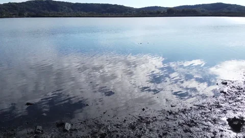 Slow moving current surrounded by coastal mangroves Video stock 133619859