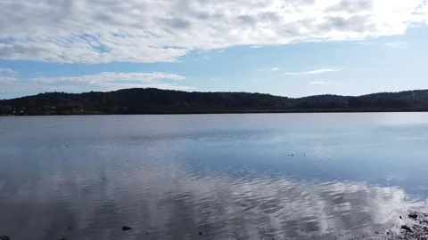 Slow moving current surrounded by coastal mangroves Video stock 133619960