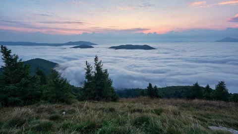 Slow Moving Fog Clouds in Mountain Valley, Peaceful Nature Time Lapse Stock Footage 317677079