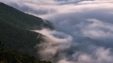 Slow Moving Fog Clouds in Mountain Valley, Peaceful Nature Time Lapse Stock-Footage 317677482