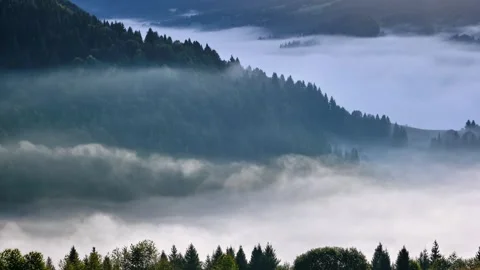 Slow Moving Fog Clouds in Mountain Valley, Peaceful Nature Time Lapse Stock-Footage 317677749