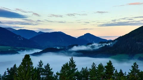 Slow Moving Fog Clouds in Mountain Valley, Peaceful Nature forest Time Lapse Stock-Footage 317678853
