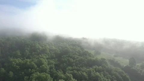 Slow moving mist over the forest tree tops 4K aerial video Stock Footage 113887556