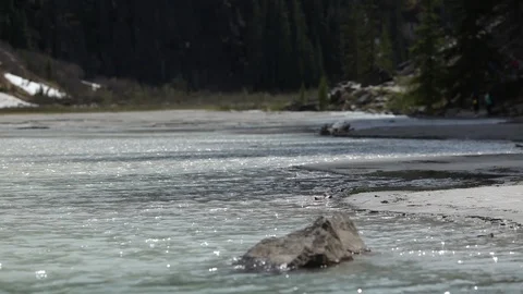 Slow-moving river and snow melt in a forest of Alberta Stock Footage 90836232