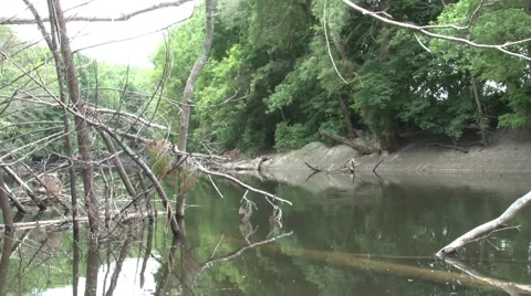 Slow Moving River 스톡 동영상 942545