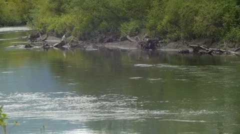 Slow moving river 動画素材 5595054