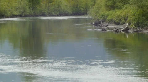 Slow moving river 動画素材 5596180