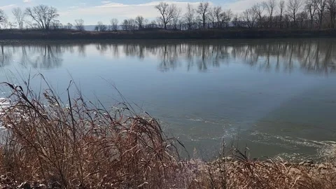 Slow Moving River With Golden Grass Moving in the Breeze Stock Footage 330220580