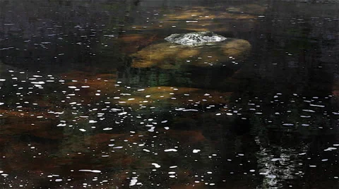 Slow moving river in shade and sunlight with natural foam (3151) Video stock 49284632