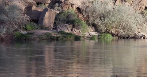 Slow Moving River with Side Lit Grass and Rocks in Background Stockbeeldmateriaal 333599103