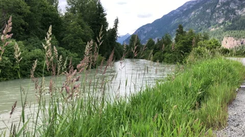 Slow moving river, side of road Stock Footage 146988706