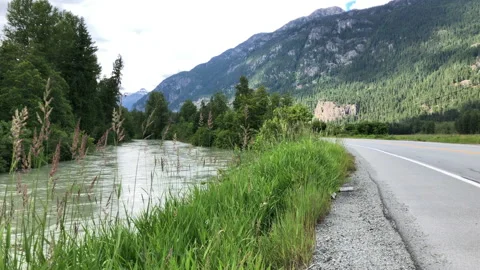 Slow moving river, side of road, car passby Stock Footage 146988790