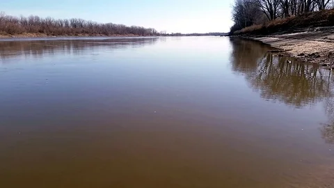 Slow moving river with tree reflections tilt shot Stock Footage 87258226